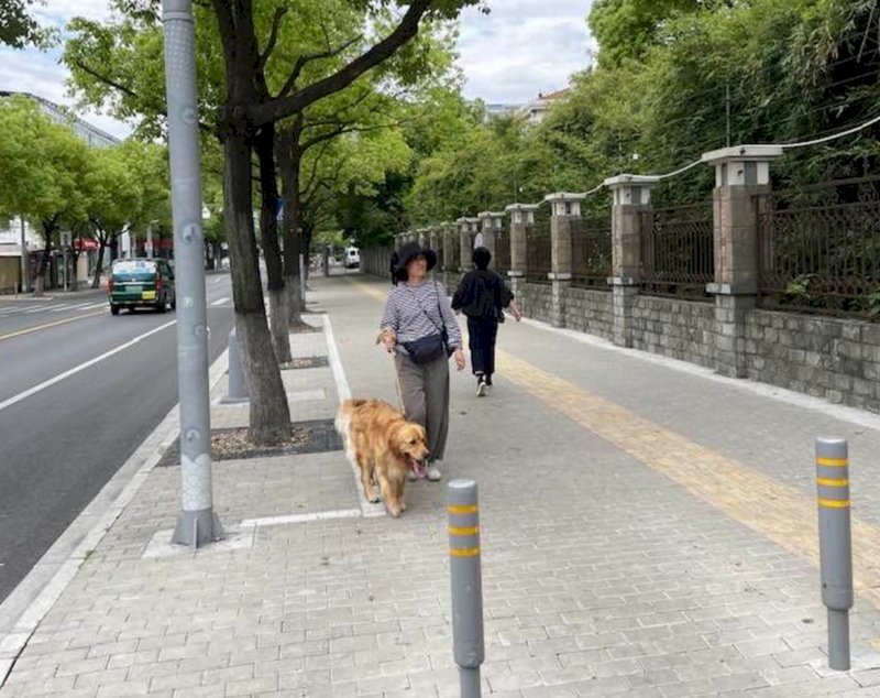 台北-上海：上海6月可望全面解封、動態清零付出高代價