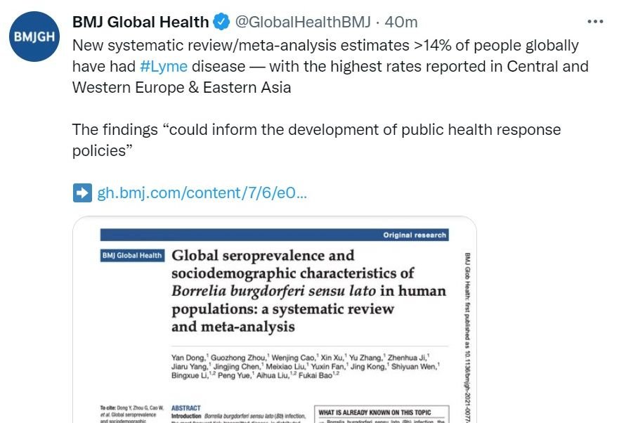 研究：全球超過14%的人患有萊姆病