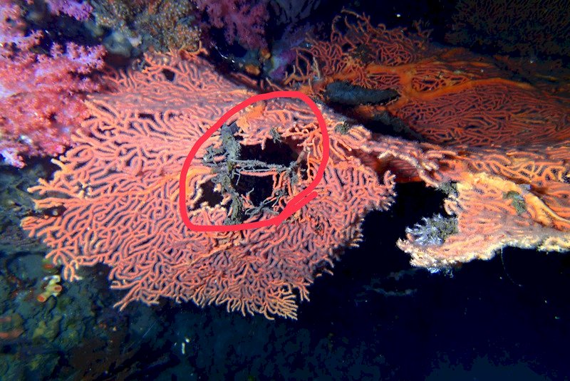 人流等於破壞嗎？