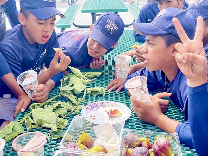 舊金山台僑供美食 貝比魯斯棒球小將活力出賽