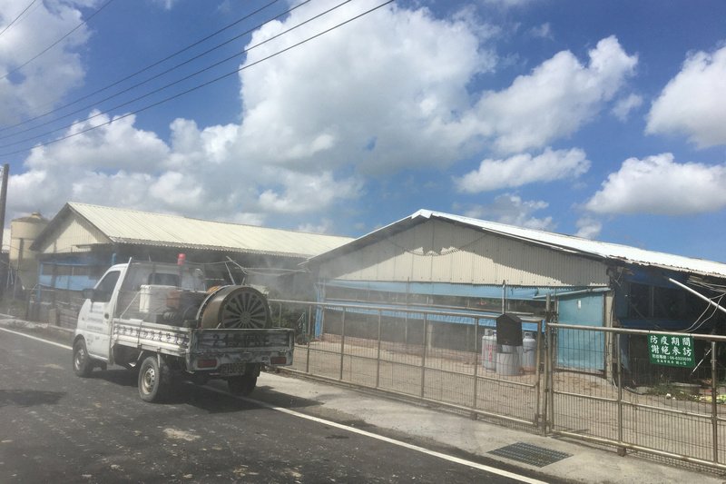 台南候鳥排遺檢出H5N1禽流感 秋冬以來首例
