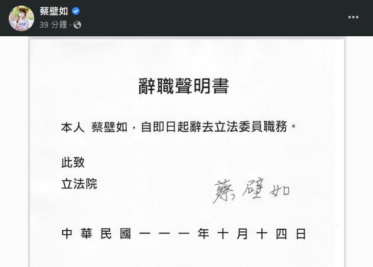 蔡壁如請辭立委 新光集團吳欣盈預計遞補