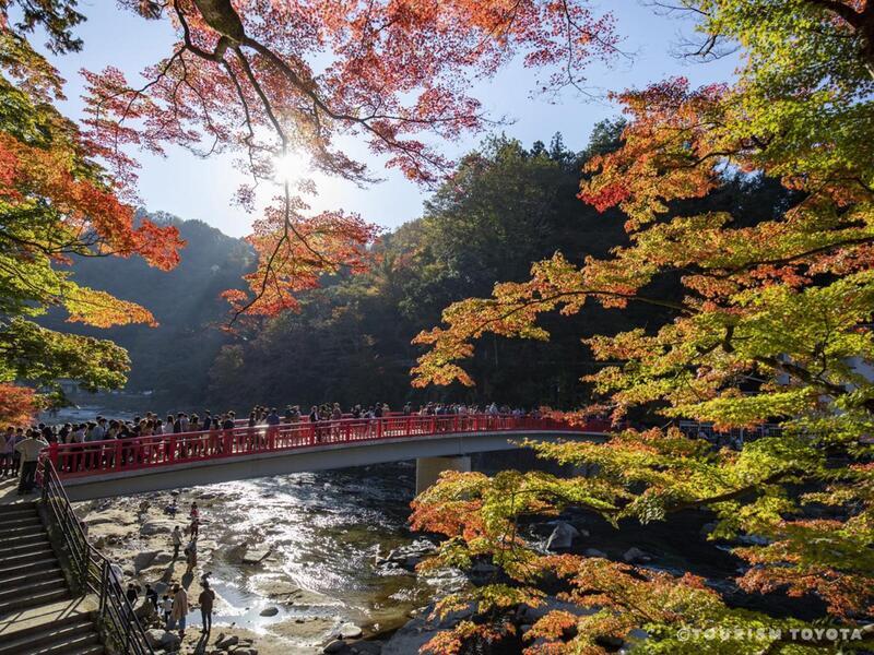 12月才有機會賞楓 日本迎126年以來最熱秋天