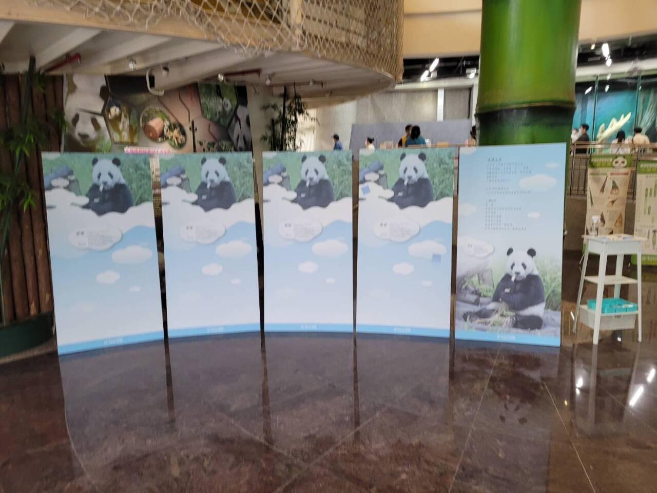 「團團」病逝當日即解剖  動物園設追思看板