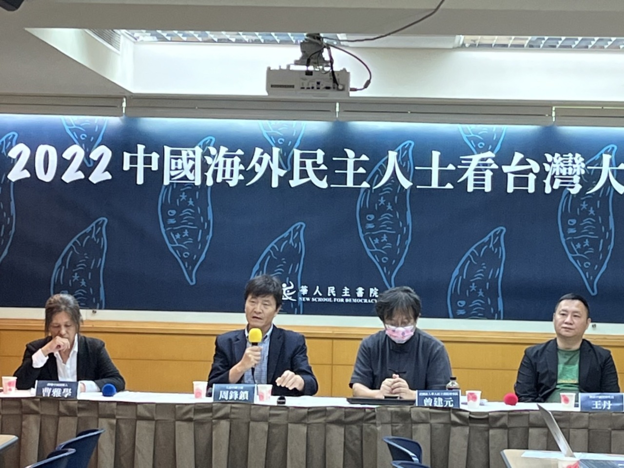 海外人士看九合一大選 民進黨敗不代表國民黨贏
