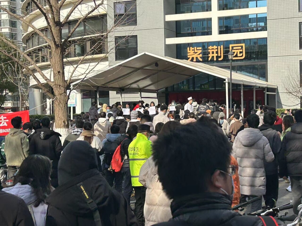 共青團罕見承認：放鬆封控在回應全國抗議