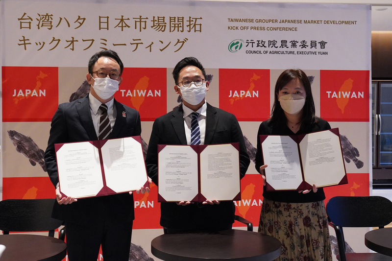 台灣石斑魚挺進日本 進軍迴轉壽司市場