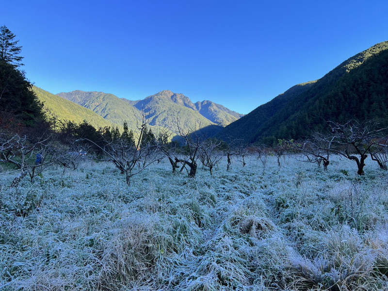 冬季限定美景！武陵農場銀白世界美麗夢幻