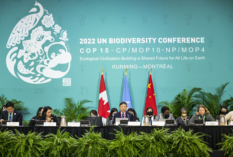 中國提交折衷案 生物多樣談判來到緊要關頭