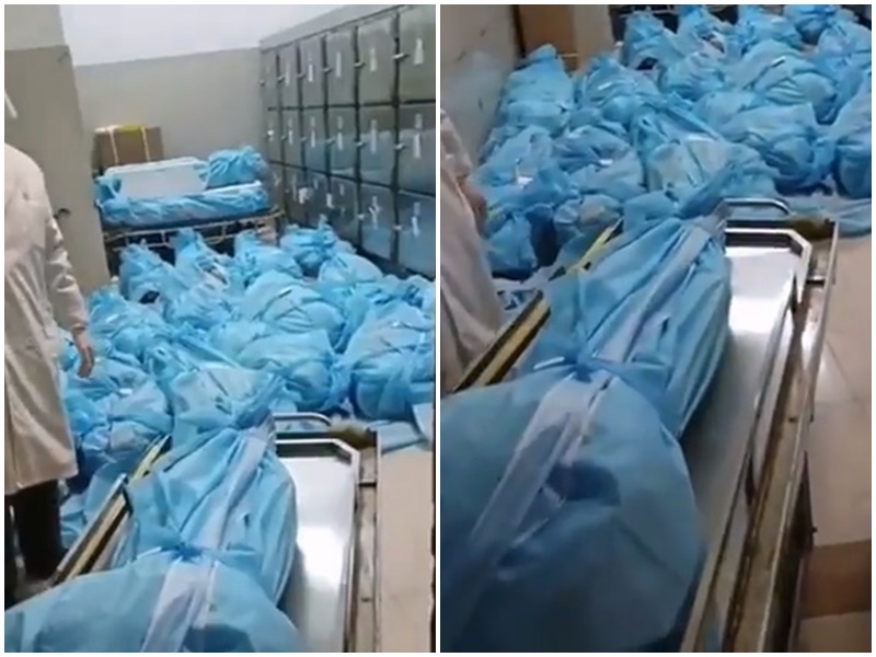 疑中國演員宋丹丹投訴  指醫院遺體堆積如山