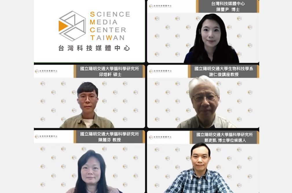 陽明交大證實學音樂重塑大腦  可助老化中風復健