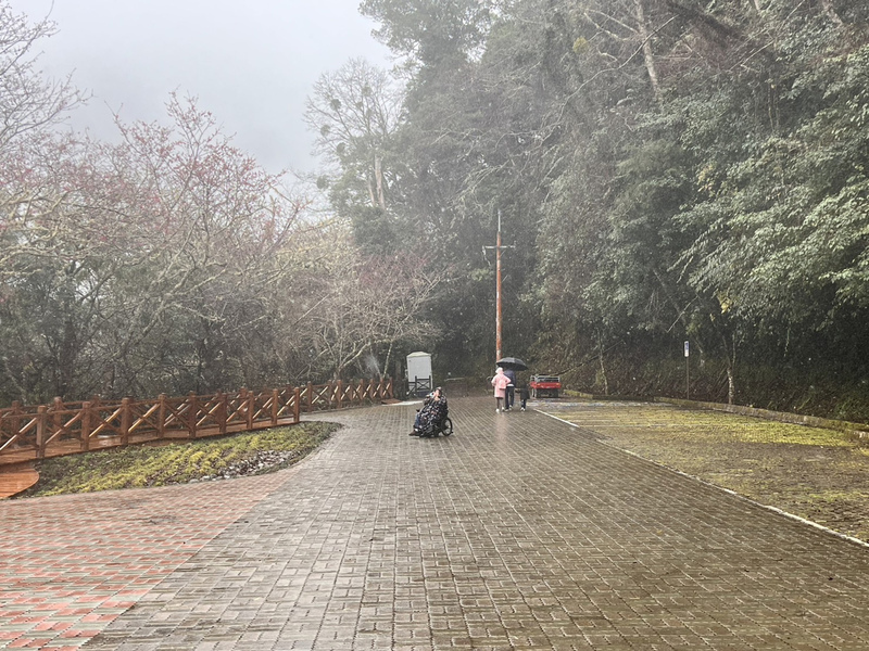 新一波冷高壓  鄭明典：中海拔以上有望飄小雪