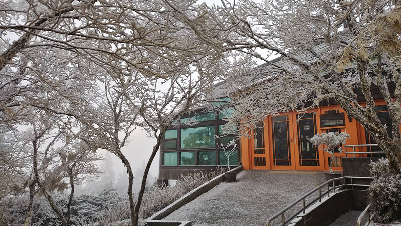 寒流再報到 宜蘭太平山現霧淞雪白美景