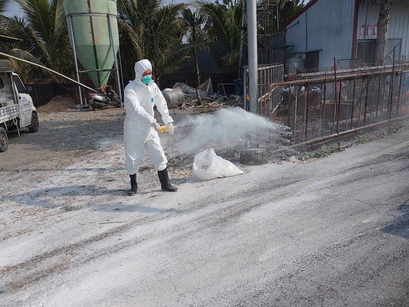 雪上加霜！ 尖兵蛋中雞染H5N1遭撲殺 農委會急因應