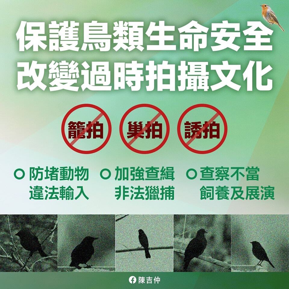 不當拍攝危及鳥類生命 陳吉仲籲改變過時手法