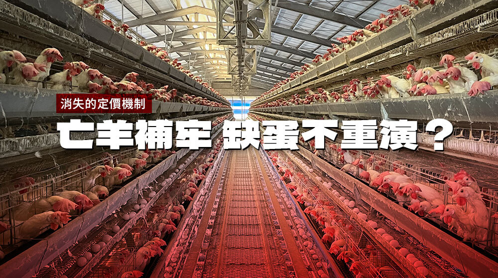 消失的定價機制／亡羊補牢 缺蛋不重演？