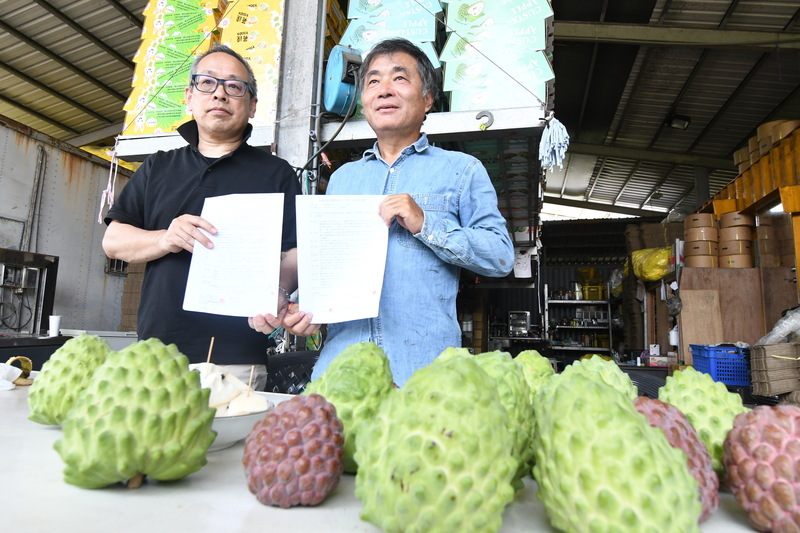 台東鳳梨釋迦讚 日商簽3年採購1000貨櫃MOU