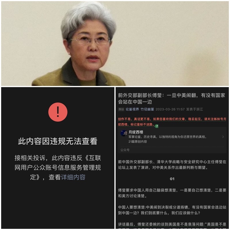 傅瑩：中美決裂「沒人會挺中國」 文遭秒刪