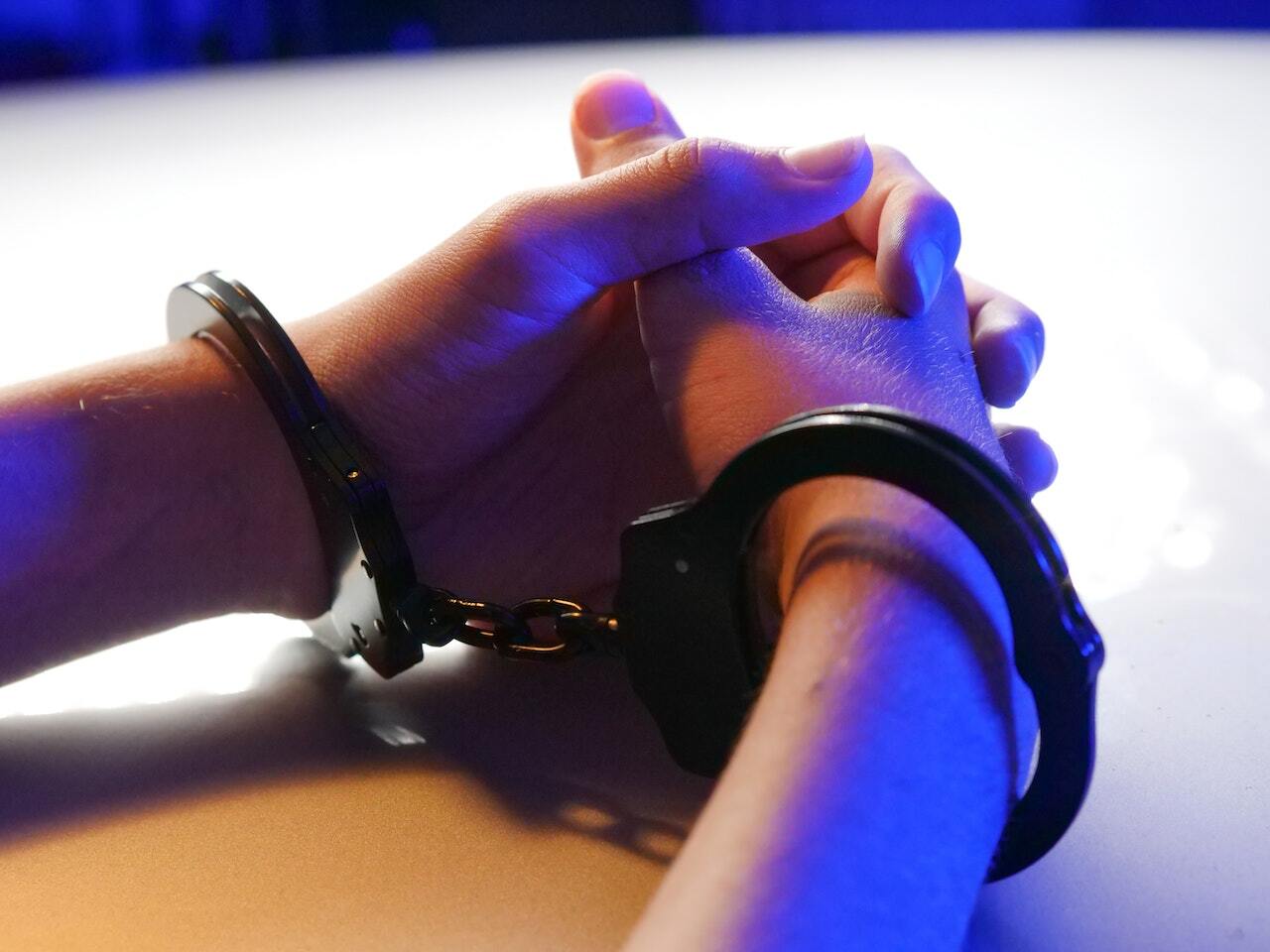 巴拿馬查獲6噸非法走私鯊魚鰭 逮捕5人