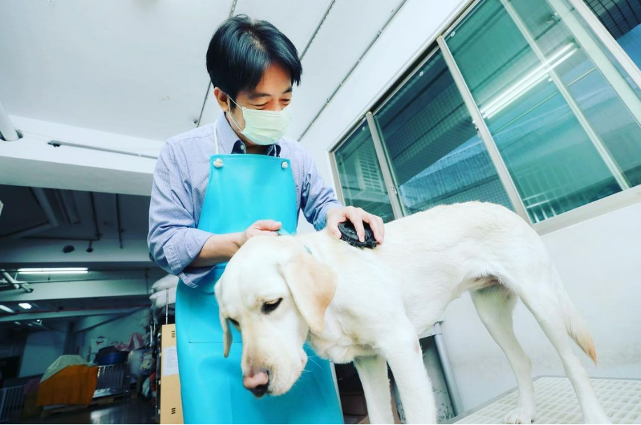 國際導盲犬日 賴清德：積極建立友善環境