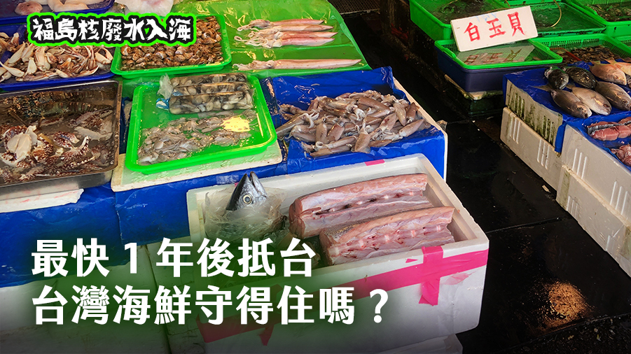 福島核廢水入海系列報導4／最快1年後抵台 台灣海鮮守得住嗎？