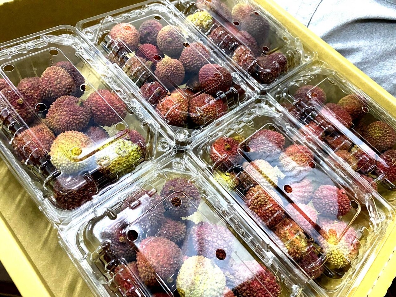 水果輸出傳捷報 荔枝新複合式檢疫輸紐成功叩關