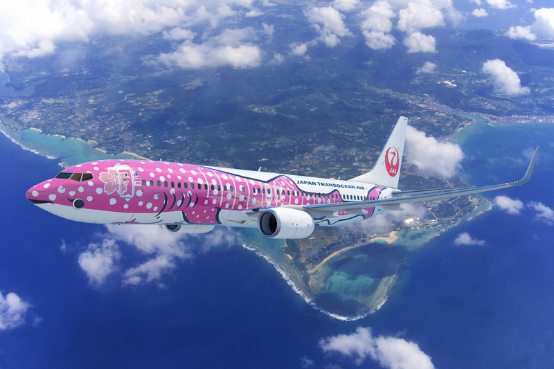 日本鯨鯊彩繪機首度現身桃機  航空迷爭睹風采