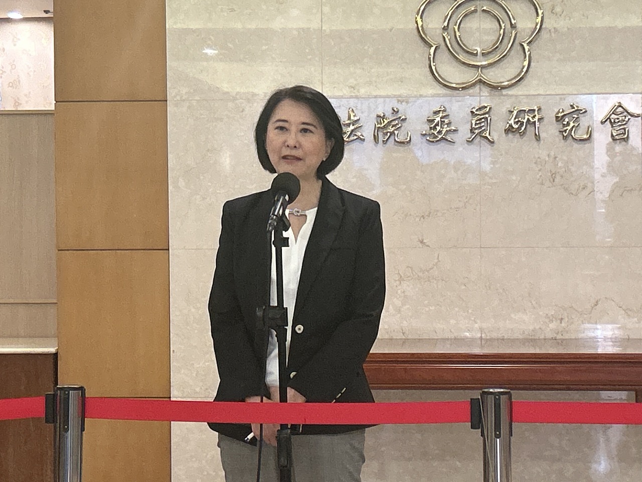 國會職權修法覆議案21日表決 藍借路權號召支持者叫陣