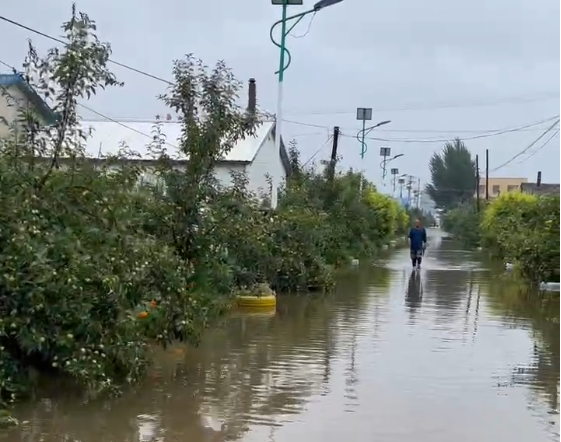 黑龍江暴雨 稻田成汪洋大米將減產