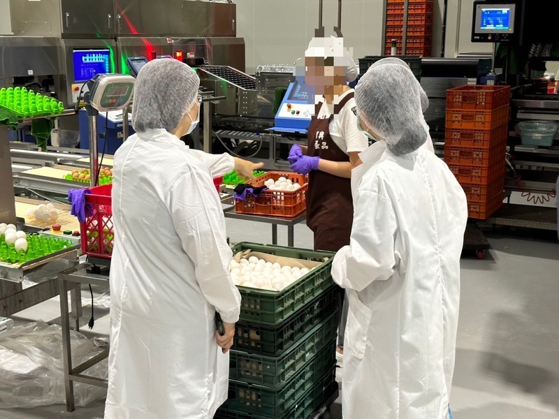 查進口蛋 信興、台農蛋品負責人30萬、10萬元交保