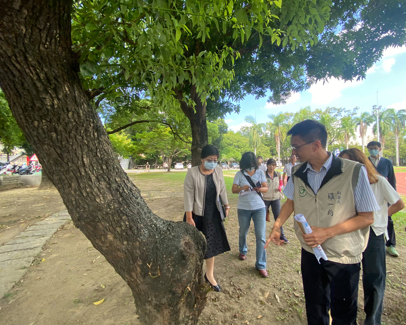 台南登革熱病例降  羅一鈞：疫情本週開始反轉