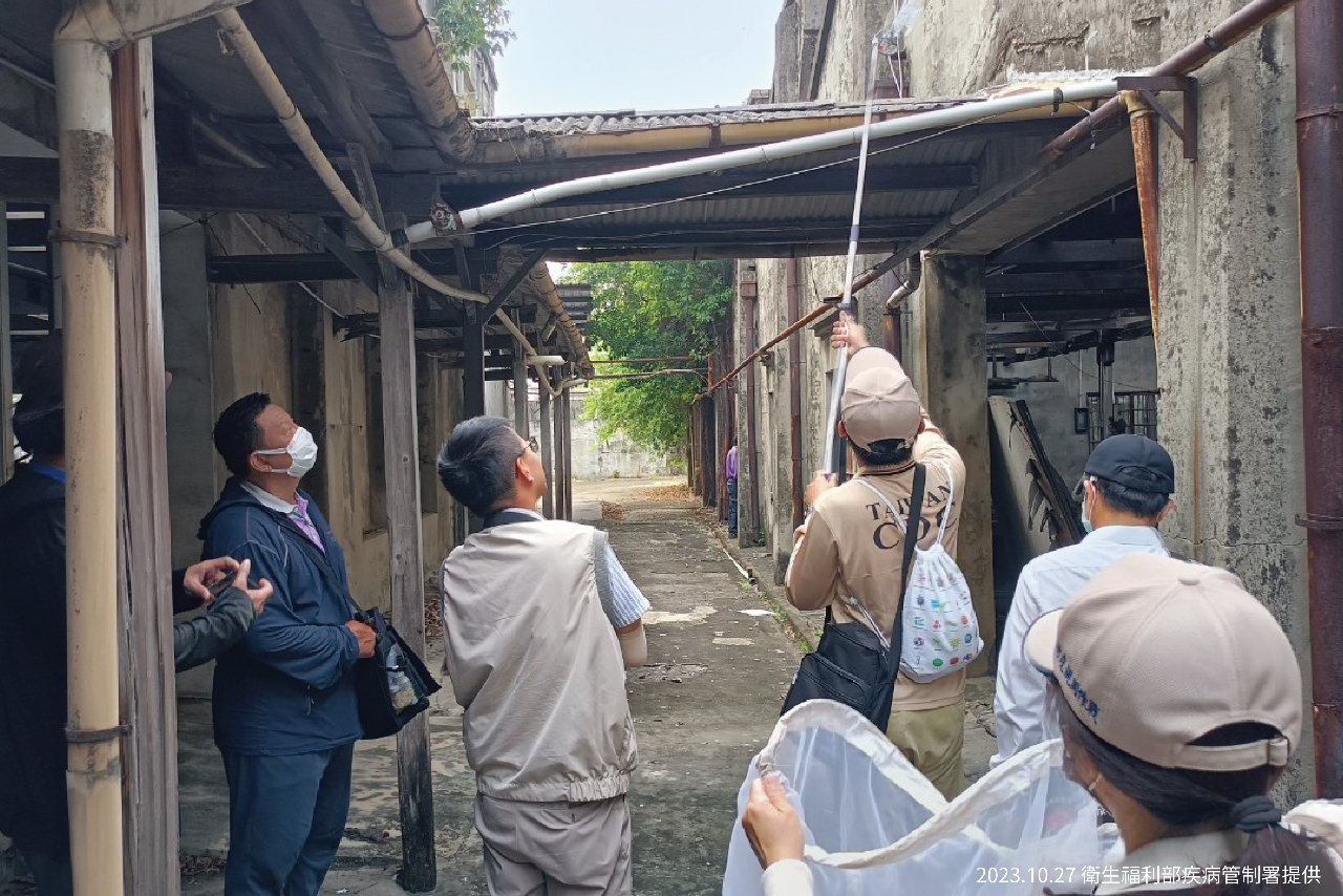 台南登革熱連4週降 估下週病例減半