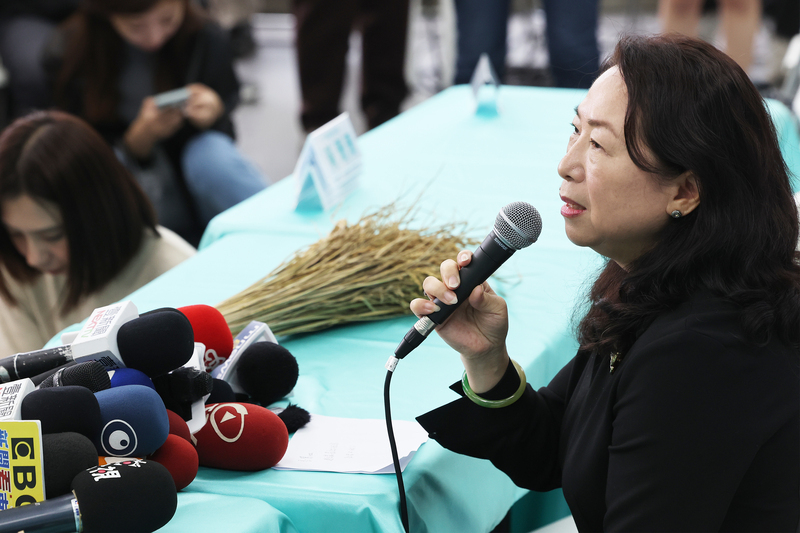 徐春鶯：已婉謝民眾黨提名不分區立委