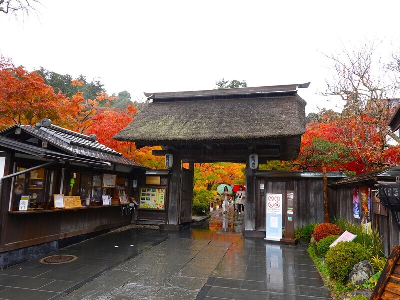 訪日旅客2023年消費額首度逾兆元 台灣居冠