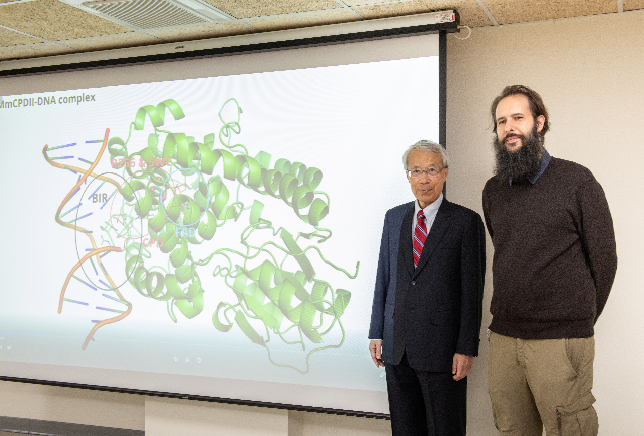 中研院國際研究直擊DNA修復過程 登頂尖期刊《科學》