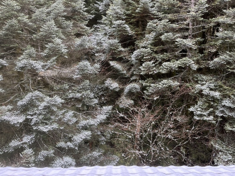 合歡山再度短暫飄雪  武嶺人潮湧入沒失望