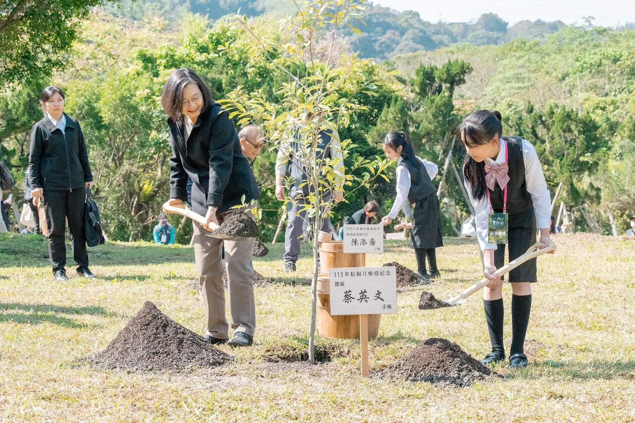 植樹月總統政大校園種下青剛櫟 強調續推森林碳匯