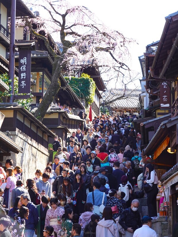 應對觀光熱潮 京都擬大幅調漲住宿稅