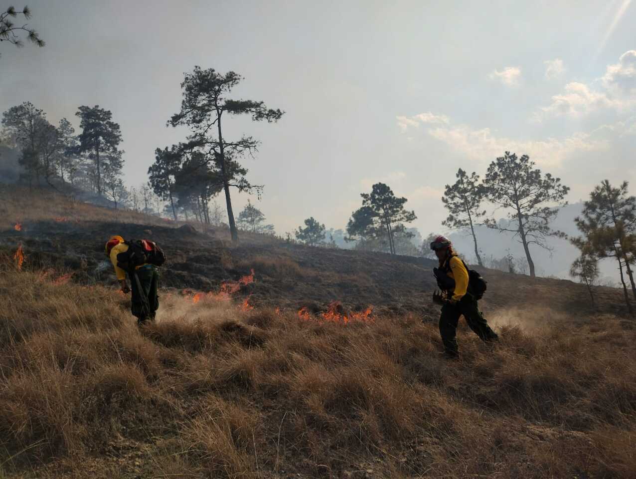 瓜地馬拉3個月873起森林火災 政府滅火疲於奔命