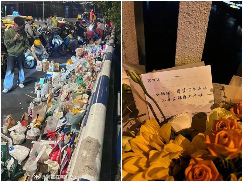 「胖貓事件」扯出案外案 矢板明夫：也算中國特色