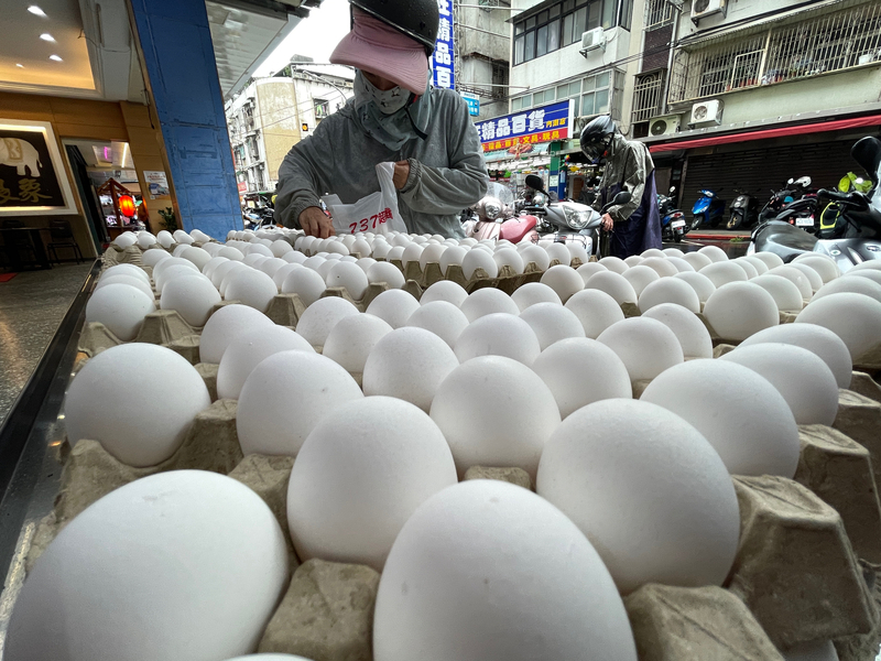 立院成立進口雞蛋調查小組 農業部：遵循現行憲政體制