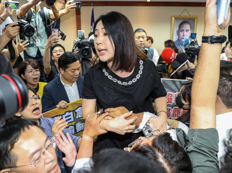 內政委員會審選罷法 綠反對鳥籠罷免佔領主席台杯葛議事