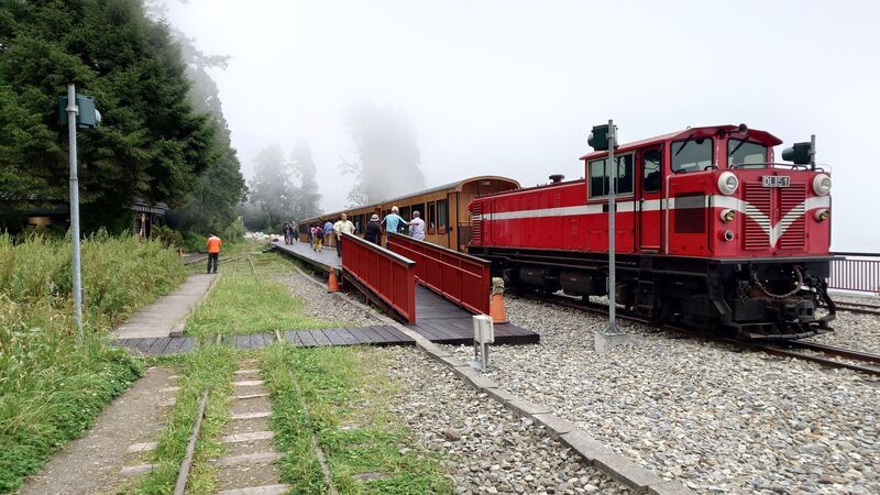 2025紐時推薦全球旅遊點 阿里山林鐵榜上有名