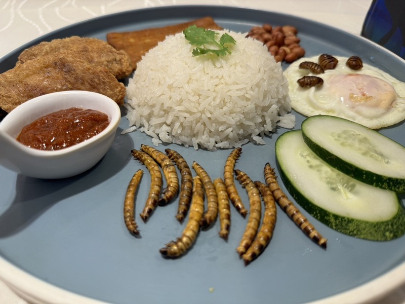 一起聽世界／新加坡核准16種昆蟲供食用 國際食蟲趨勢往哪走