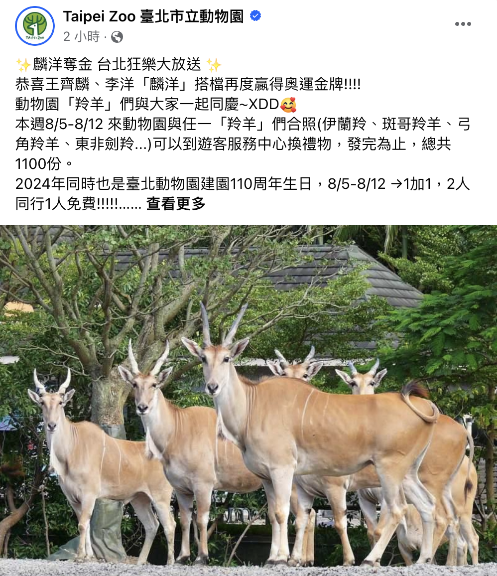 巴黎奧運／賀「麟洋」奪金！北市立動物園：和羚羊合照有禮