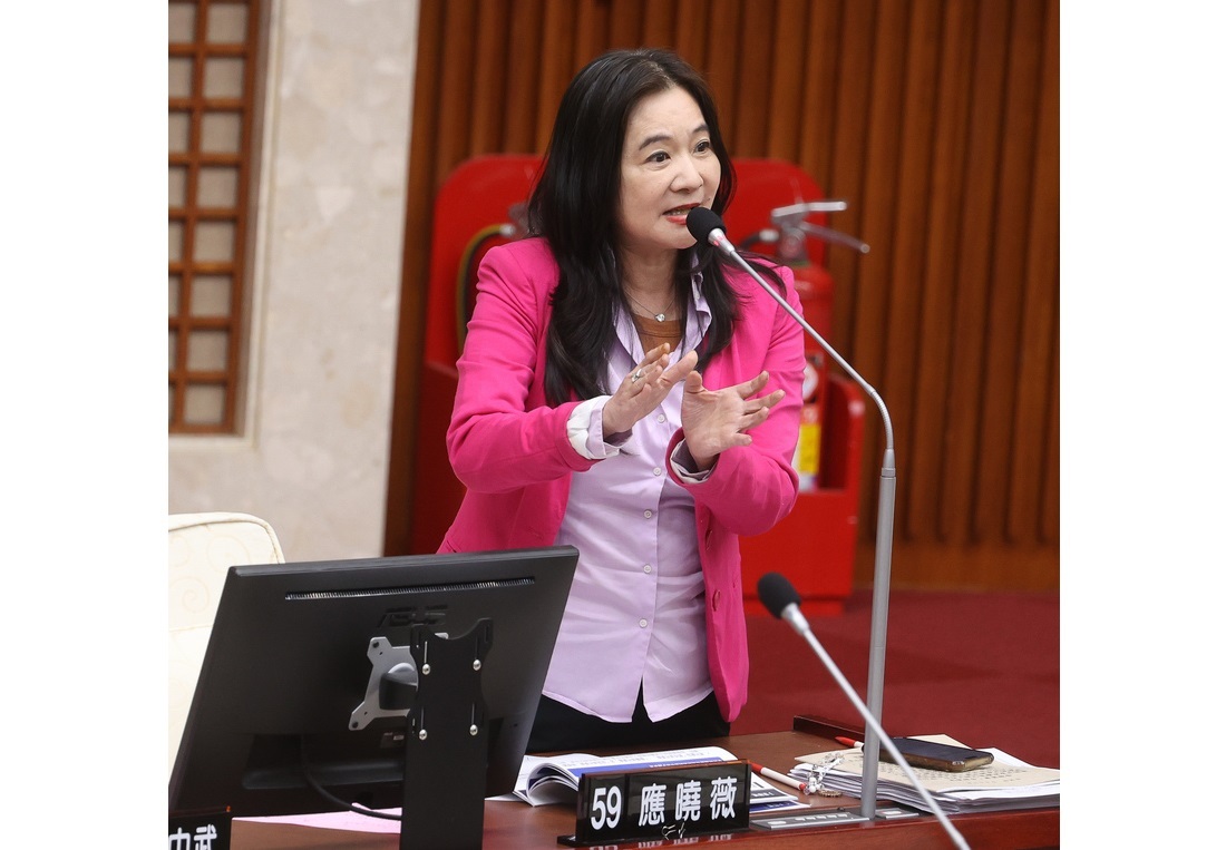 應曉薇遭羈押 國民黨考紀會：若提抗告被駁再決定是否停權處分