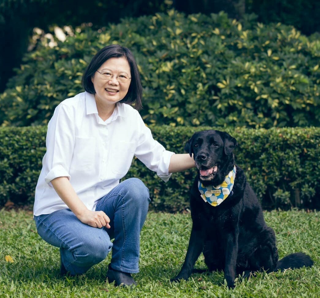 16歲黑色導盲犬Maru離世 蔡英文：我會一直記得你