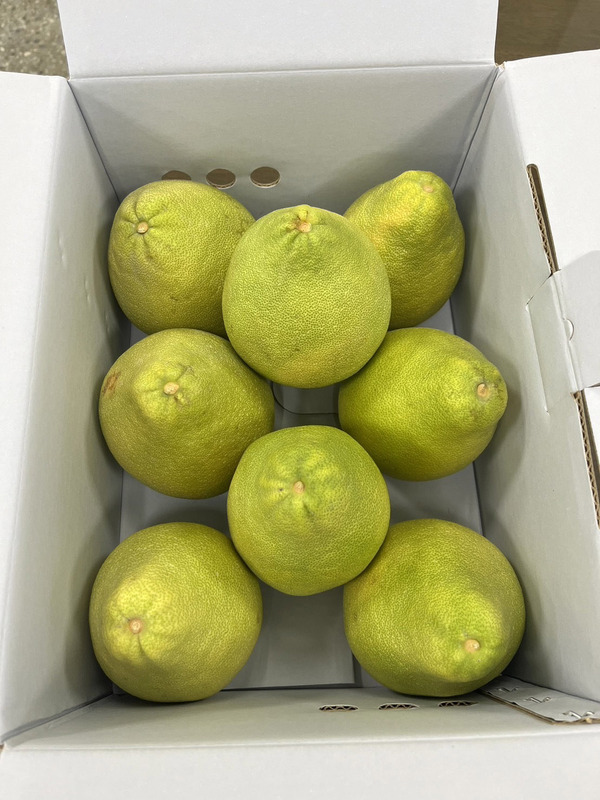 農業部：上午接獲中國正式通知恢復文旦輸入