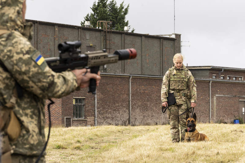 英國協訓烏克蘭軍犬領犬員 助除未爆彈