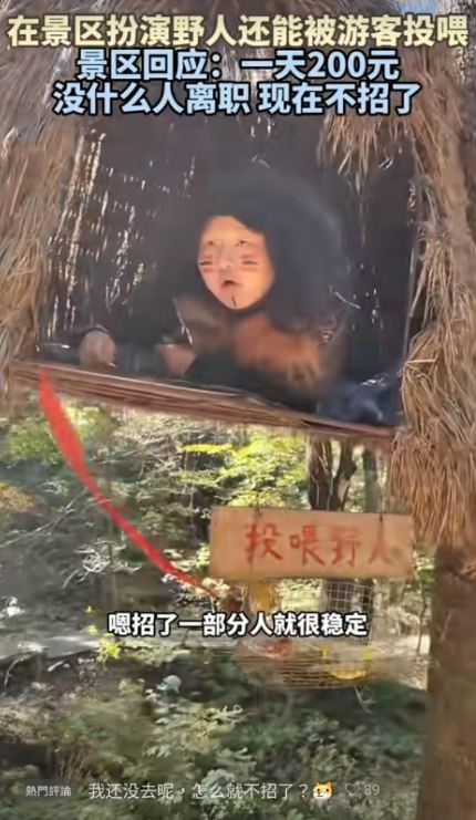 微信上的中國／工作難找  扮野人搶翻天